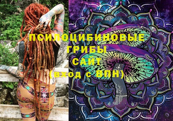 спайс Гусев
