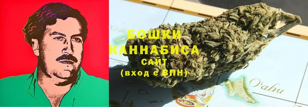 бошки Дмитров