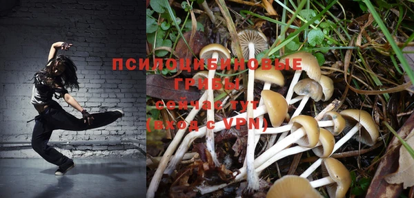 стафф Дмитровск