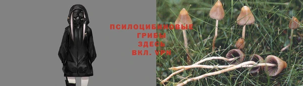 бошки Дмитров