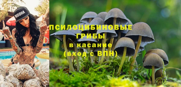 трава Гусь-Хрустальный