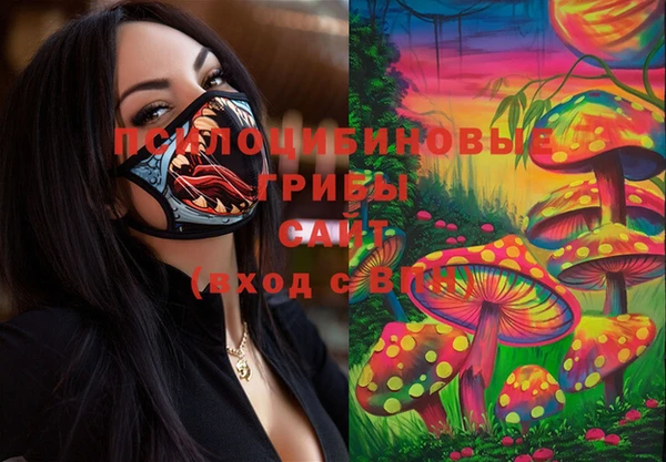 COCAINE Гусиноозёрск