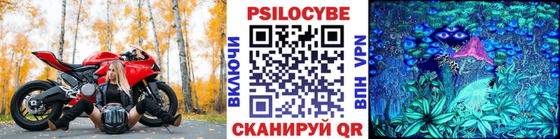 Купить где  Пыть-Ях  Псилоцибиновые грибы Psilocybine cubensis 